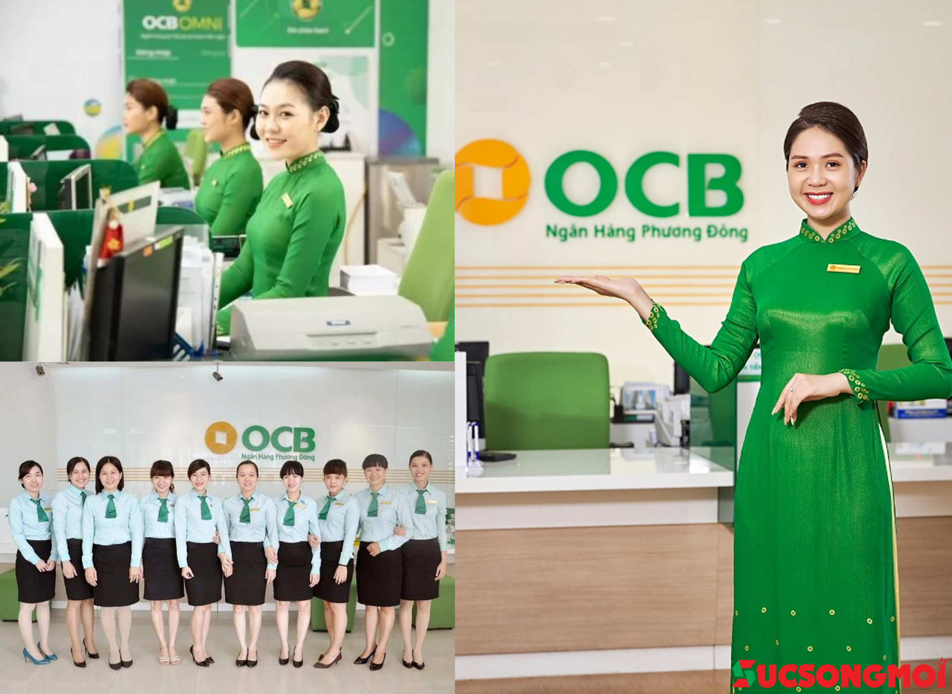 Đồng phục ngân hàng OCB 