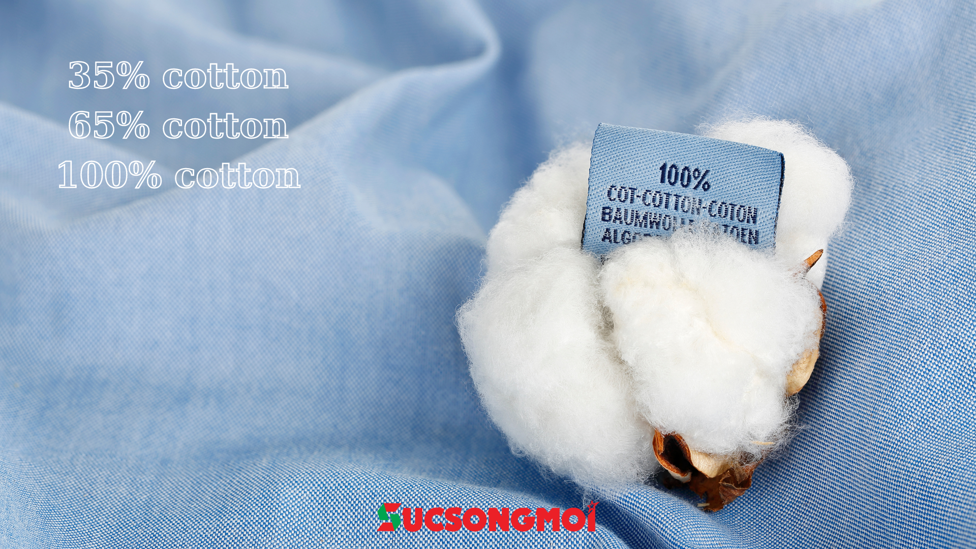 Tỷ lệ phần trăm cotton trong vải 